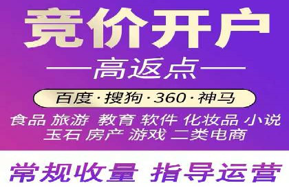 电商平台信息流广告的投放策略与效果评估案例