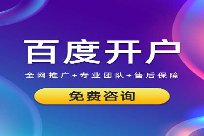 竞价广告策略案例分析